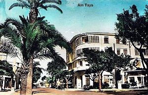 Ain Taya 01